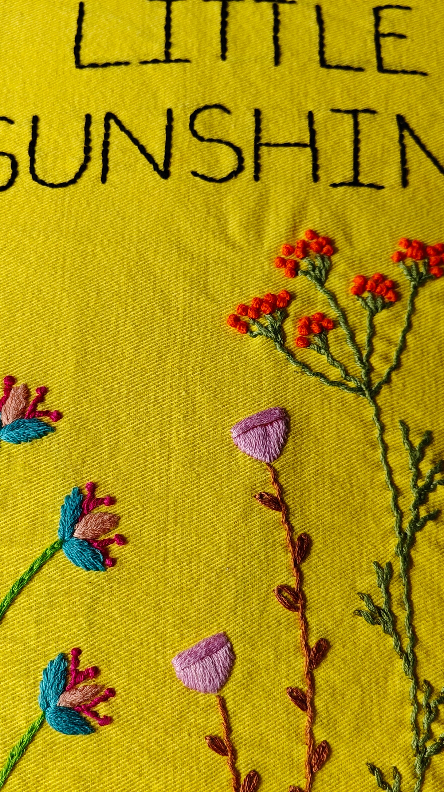 Hand Embroidered Cushion Cover (Set of 2)