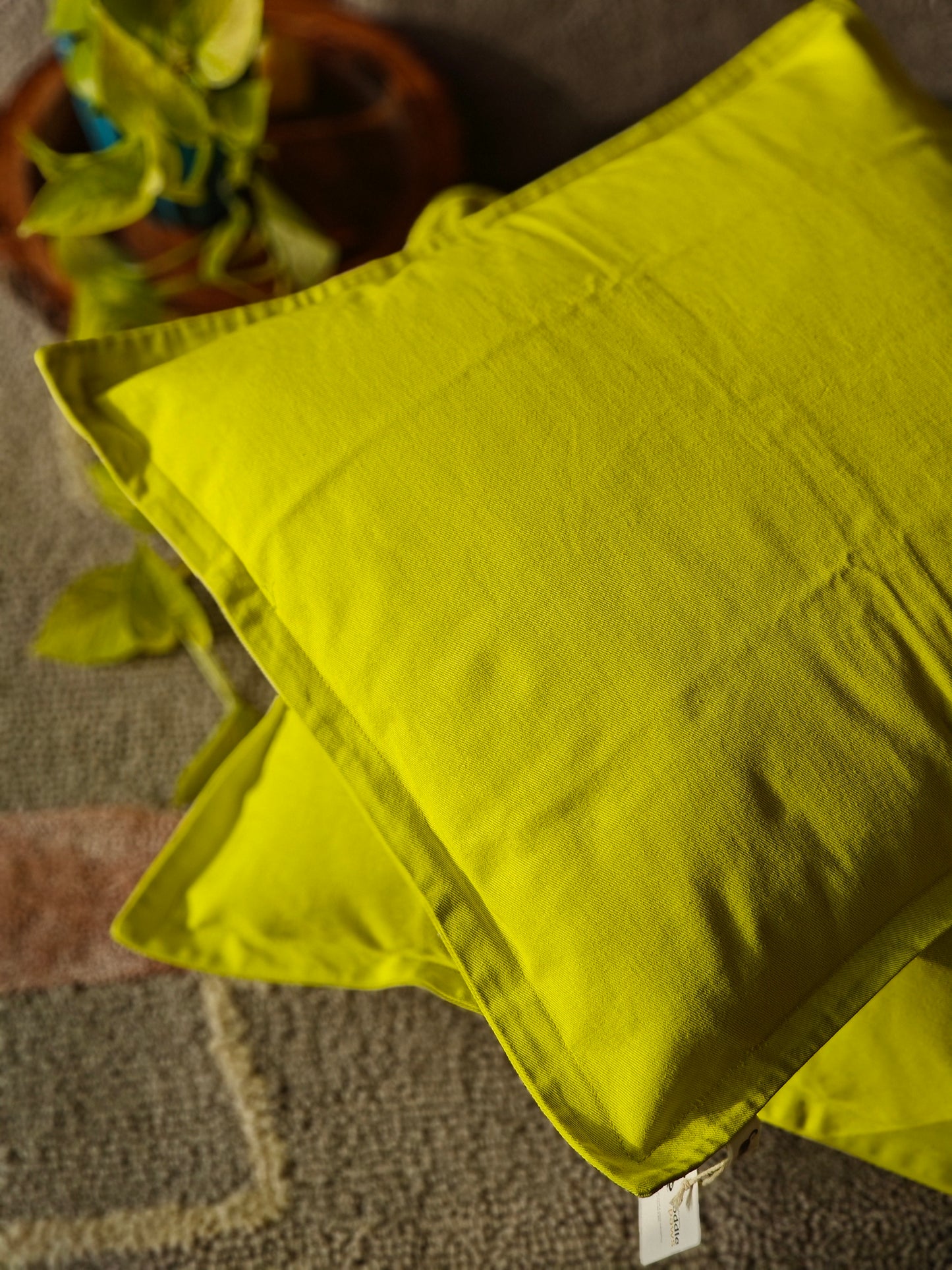 Self Border Cushion Cover (Set of 2)