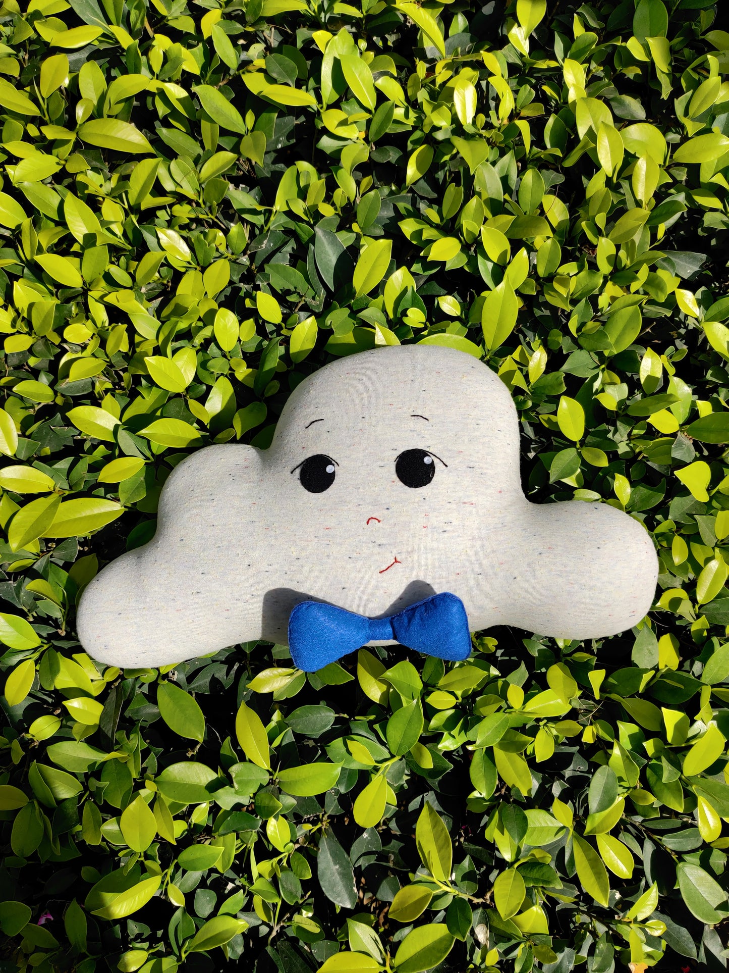 Cloud Cushion Boy